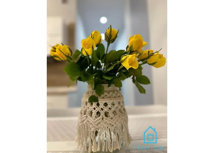 Stary Anchor Apartment